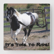 É hora de andar de cavalo