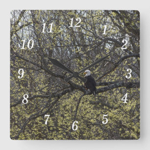 Relógio Quadrado Eagle Lookout Painterly Wall Clock