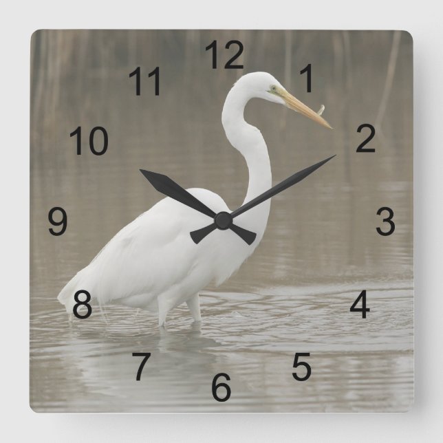Relógio Quadrado Egret Branco do excelente (Frente)