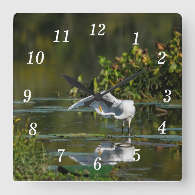 Relógio Quadrado Egret Wing Exam Wall Clock (Frente)