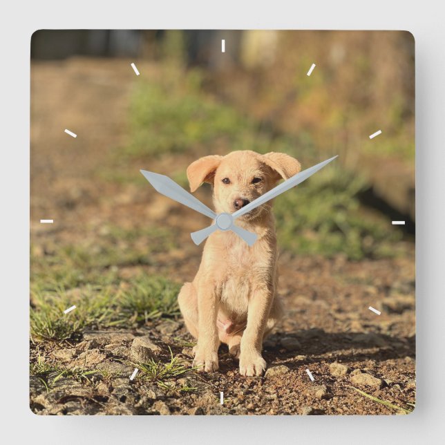 Relógio Quadrado Elegant Modern Custom Wall Clock Add Your Own  (Frente)