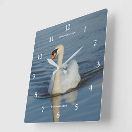 Relógio Quadrado Elegante Cisne Mudo Ave Aquática no Lago