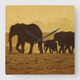 Relógio Quadrado Elephant Family