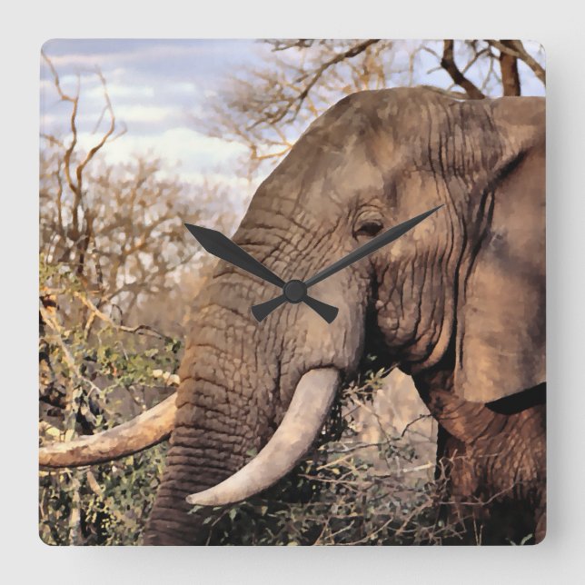 Relógio Quadrado Elephant Lovers Art (Frente)