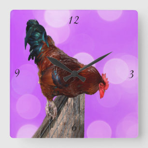 Relógio Quadrado Empoleirado em Majestade: Rooster Sobre o Brilho R