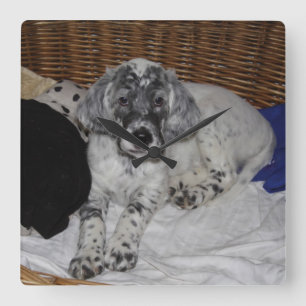 Relógio Quadrado English Setter Puppy