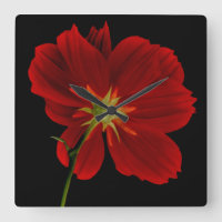 Escuridão/Fotografia de Gerbera Vermelha