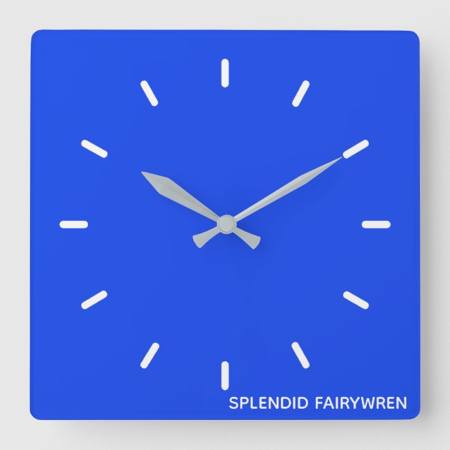 Relógio Quadrado Esplêndido Nome de Cor Azul Fairywren (Frente)