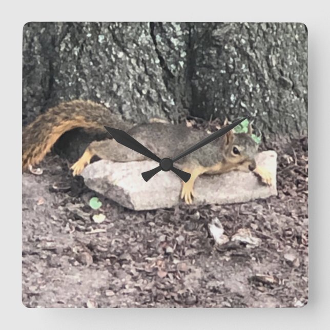 Relógio Quadrado Esquilo (Frente)