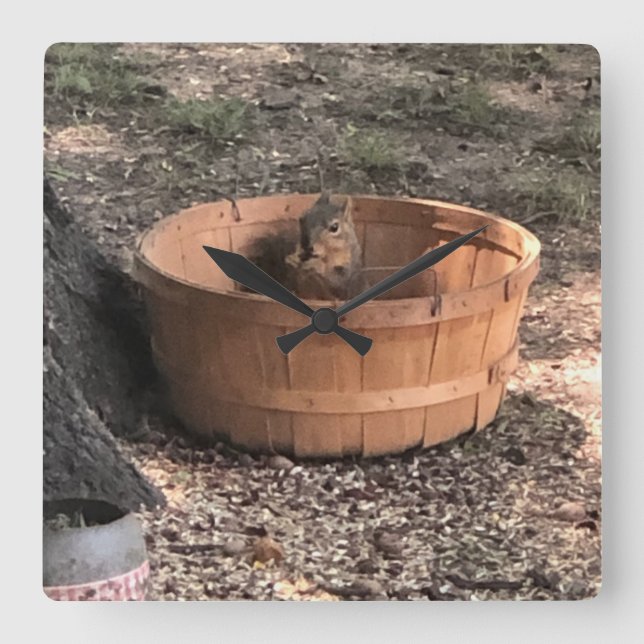 Relógio Quadrado Esquilo (Frente)