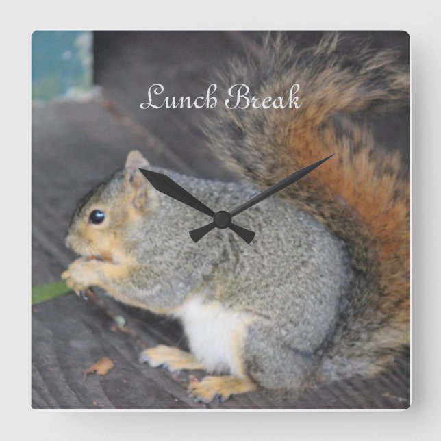 Relógio Quadrado Esquilo "Break Almoço" (Frente)