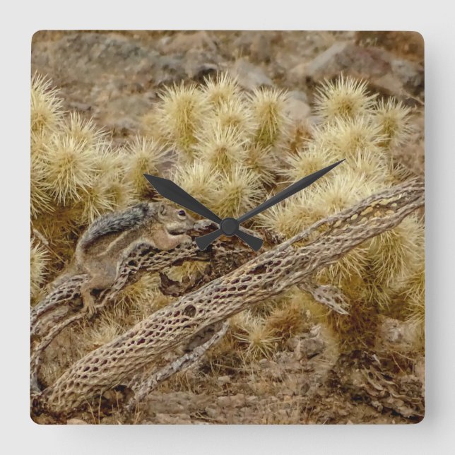 Relógio Quadrado Esquilo Do Deserto No Esqueleto De Cholla Cactus (Frente)