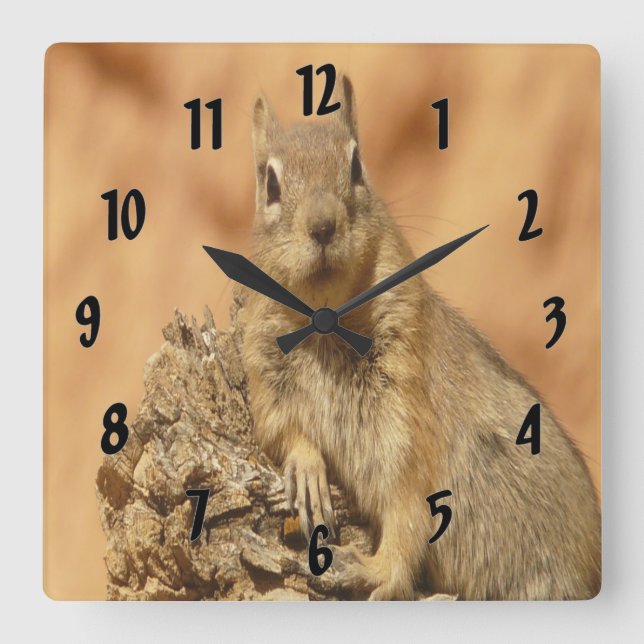 Relógio Quadrado Esquilo do ouro (Frente)