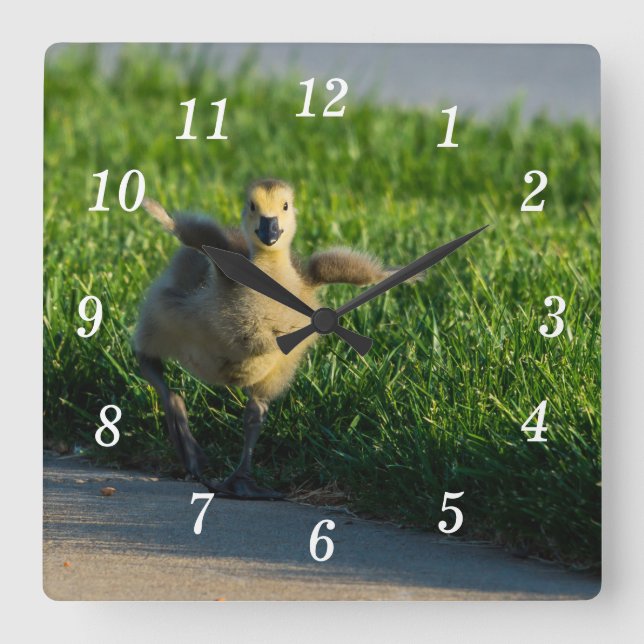 Relógio Quadrado Estou chegando Pai Wall Clock (Frente)