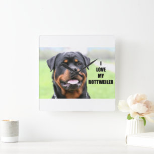 Relógio Quadrado Eu amo meu Rottweiler
