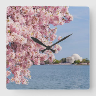 Relógio Quadrado EUA, Washington DC, árvore de cereja