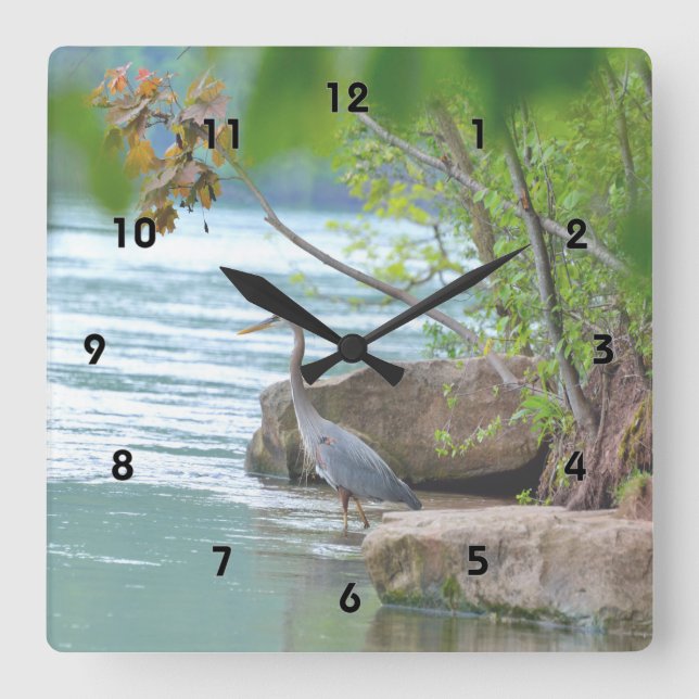 Relógio Quadrado Excelente Blue Heron (Frente)