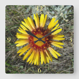 Relógio Quadrado F1 Flor Amarela Selvagem Gaillardia