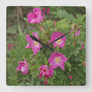 Relógio Quadrado F46 Rosas Silvestres