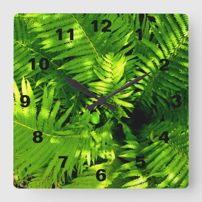 Relógio Quadrado Fern (Frente)