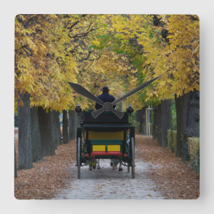 Relógio Quadrado Fiaker Em Schönbrunn, Wien Österreich
