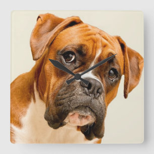 Relógio Quadrado Filhote de cachorro do pugilista no contexto do