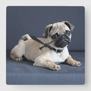 Relógio Quadrado Filhote de cachorro no sofá Lounging