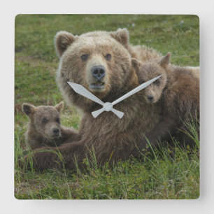 Relógio Quadrado Filhotes de Urso Pardo se Aconchegando com a Mãe