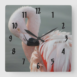 Relógio Quadrado Flamingo cor-de-rosa bonito