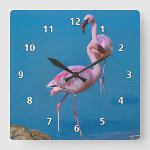 Relógio Quadrado Flamingos cor-de-rosa no lago