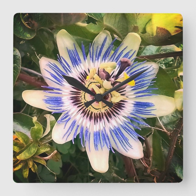 Relógio Quadrado Flor azul e branca (Frente)