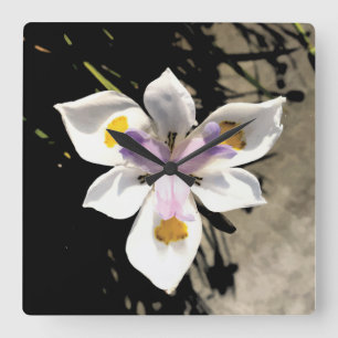 Relógio Quadrado Flor de estrelas