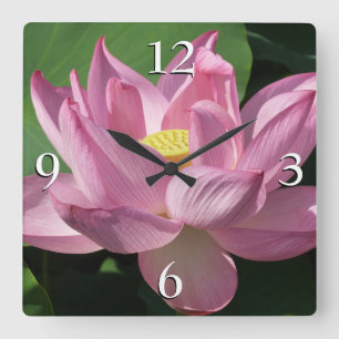 Relógio Quadrado Flor de Lotus Rosa IV