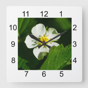Relógio Quadrado Flor de Morango Silvestre
