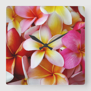 Relógio Quadrado Flor de Plumeria Mistura, Amarelo-Rosa