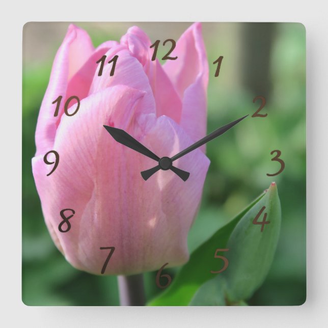 Relógio Quadrado flor de tulipa rosa primavera (Frente)