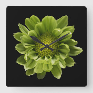 Relógio Quadrado Flores Crolisântemo Verde