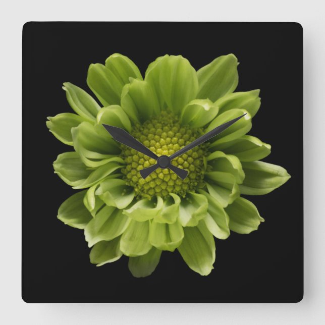 Relógio Quadrado Flores | Crolisântemo Verde (Frente)