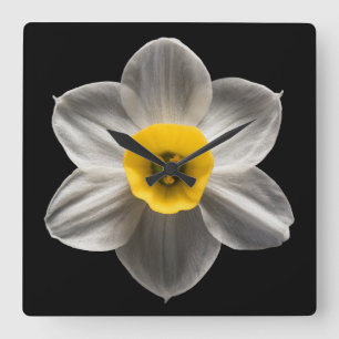Relógio Quadrado Flores   Flor Branca De Daffodilo
