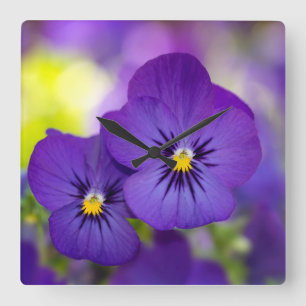 Relógio Quadrado Flores   Pintas Roxas