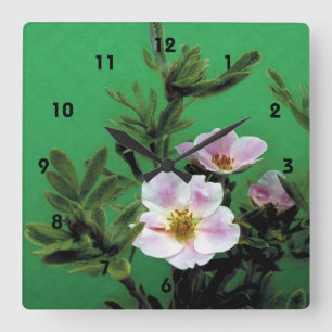 Relógio Quadrado flores rosa silvestre, cor-de-rosa, a verde, Elega