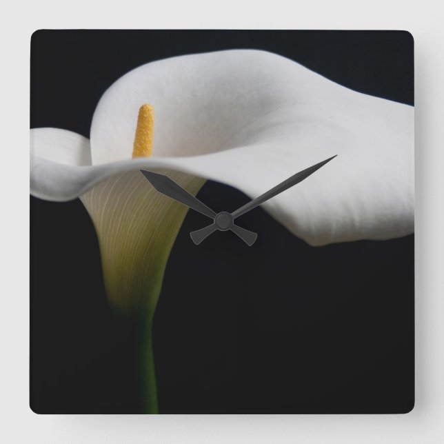 Relógio Quadrado Flores | White Calla Lily (Frente)
