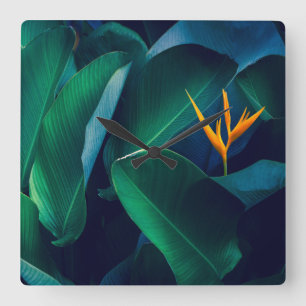 Relógio Quadrado Flowers   Bird of Paradise