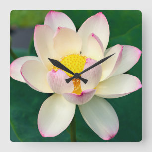 Relógio Quadrado Flowers   Lotus Water Flower