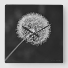 Relógio Quadrado Foi para a Semente