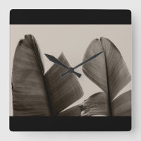 Folhas de árvores de banana na Sepia