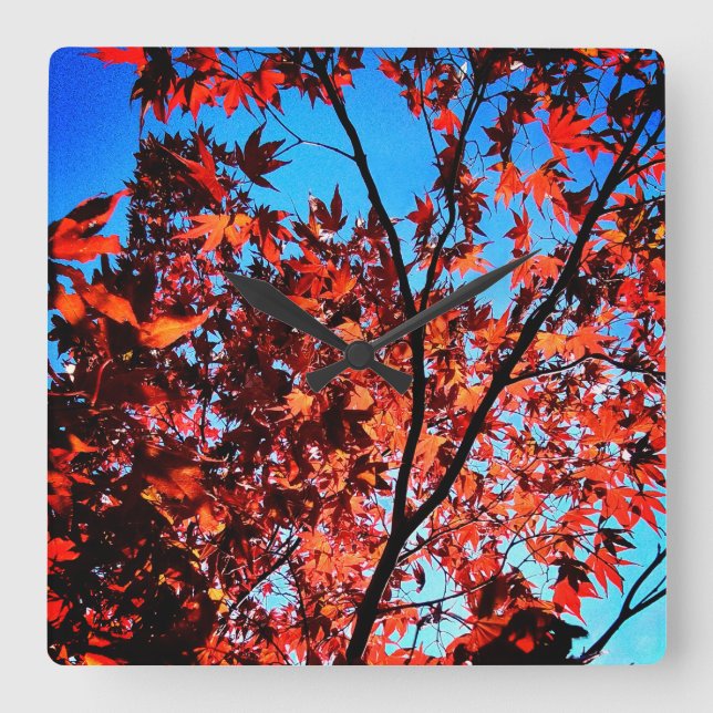 Relógio Quadrado Folhas de castanho (Frente)