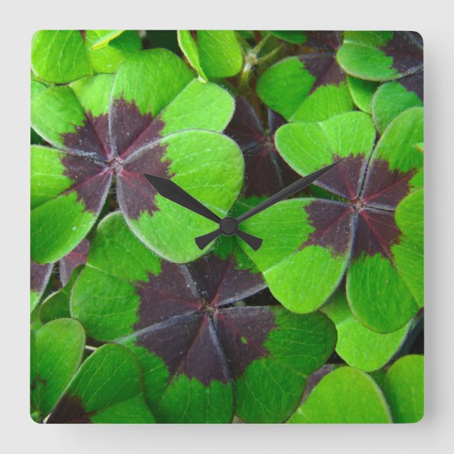 Relógio Quadrado Folhas Oxalis - Vermelho e Verde (Frente)