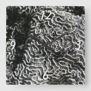 Relógio Quadrado Foto da natureza do Abstrato Black and White Coral