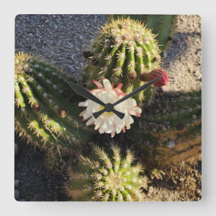 Relógio Quadrado Foto de flor de cactus